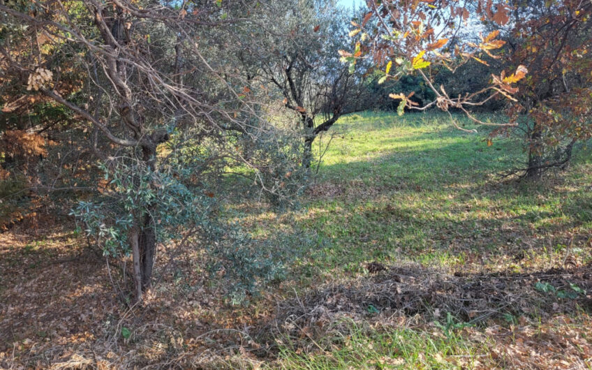 Terreno edificabile residenziale in vendita a Villa Oliveti, Rosciano